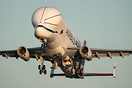 Airbus Beluga XL