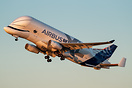 Airbus Beluga XL