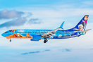 Boeing 737-8CT