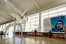 San Jose Airport Terminal B
