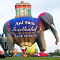 Cameron Elephant-77