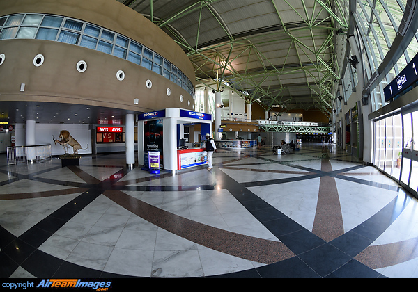 International Terminal is Decorated by African Wild Animals Victoria Falls Airport