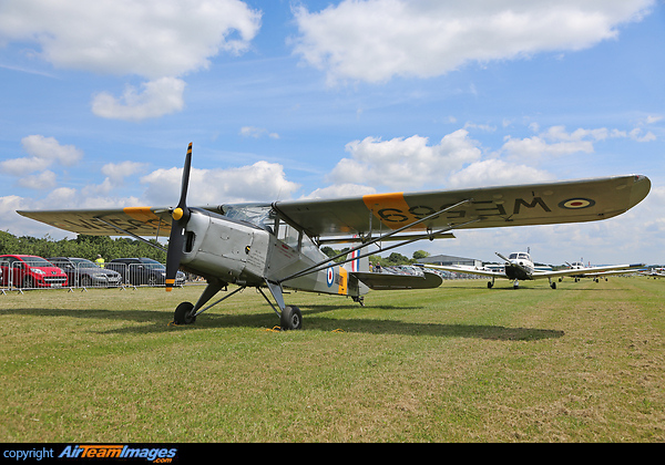 Beagle A-61 Terrier 2 Beagle A-61 Terrier 2