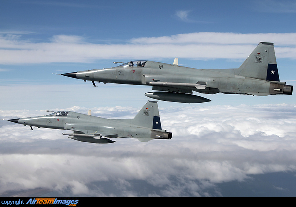 Northrop F-5E Tiger III 814 flying in close formation alongside 810 over the Magellan Strait Northrop F-5E III