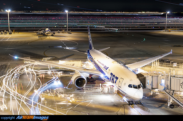 An ANA 787-8 on turn around at Tokyo's Haneda airport caught in a 80 minute exposure in a sea of light. Boeing 787-8 Dreamliner