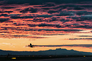 Boeing 737-36N