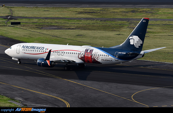 Coca Cola Advertisement Boeing 737-852