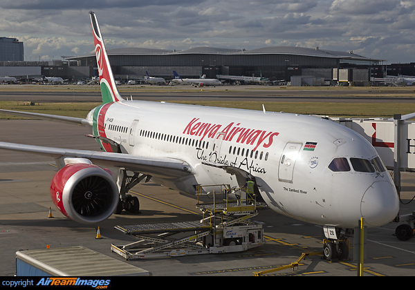 Boeing 787-8 Dreamliner Boeing 787-8 Dreamliner