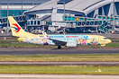 Shanghai Disney Resort Duffy and Friends special livery.