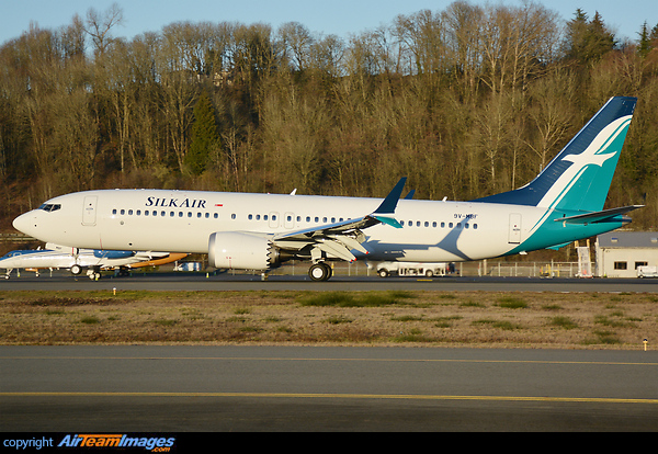 touchdown in warm golden winter sunset Boeing 737-8 MAX