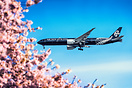 Boeing 777-319/ER