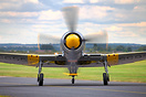 Hawker Sea Fury T20