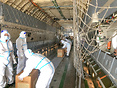 Ukraine send their IL76 to SZX transporting masks