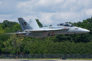 Boeing F/A-18F Super Hornet