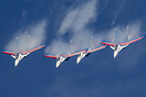 Russian Knights