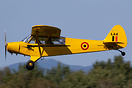 Piper PA-18-95 Super Cub