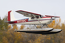 Cessna 180 Skywagon