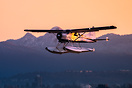 DH-2 Beaver Mk1