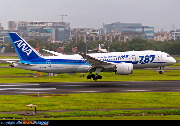 Flexing her Wings while flaring. ANA B787-8 D)L, JA805A flaring graciously over R27. Boeing 787-8 Dreamliner