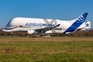 Airbus Beluga XL