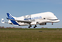 Airbus Beluga XL