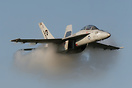 Boeing F/A-18F Super Hornet