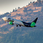 Boeing 737-8 MAX