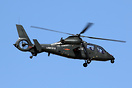 Harbin Z-19