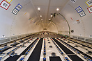 Boeing 767-33A/ER(BDSF)
