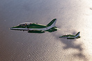 British Aerospace Hawk 65A