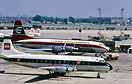 Vickers 806 Viscount