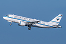 Airbus ACJ319