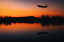 Airbus A340-313X