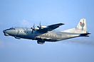 Basic Soviet Air Force livery, no titles, soviet reg but russian flag ...