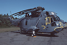 406 & 423 Squadrons