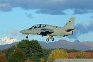 Aermacchi M-345