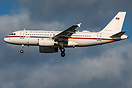 Airbus ACJ319