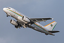 Airbus ACJ319