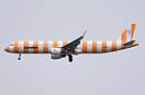 New Paint scheme of Condor