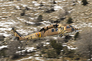 Sikorsky S-70A-50 Yanshuf