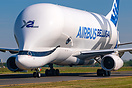 Airbus Beluga XL
