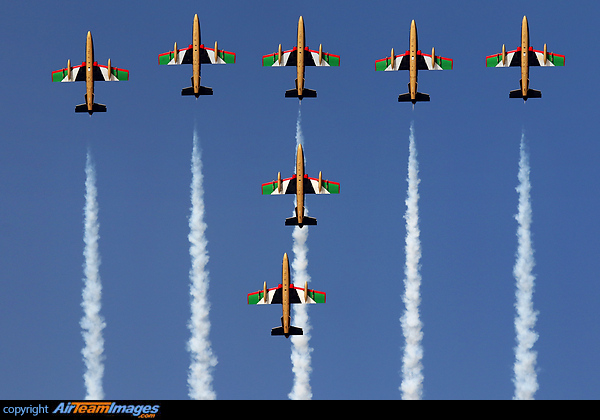 Al Fursan Display Team