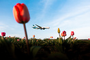 Boeing 787-8 Dreamliner