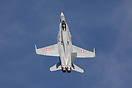 F/A-18C Hornet