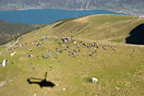 Aerial view of Hill 2 on Axalp. In the background you can see the ants...