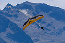 Paraglider