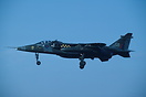 Jaguar GR1A of 54 sqn