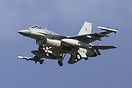F-16AM Fighting Falcon