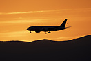 Boeing 787-8 Dreamliner