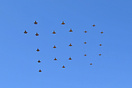 Fly Past Formation 100 Years